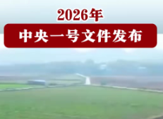 2026 年中央一号文件发布