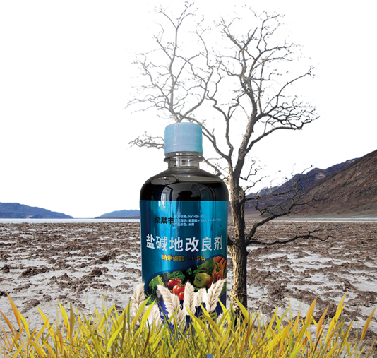 改善盐碱地“快”的方法