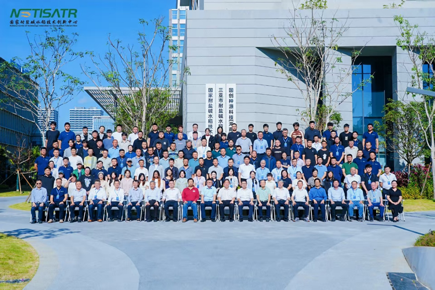 共赴三亚之约，共筑盐碱地丰产梦——燊燚丰与耐盐碱水稻产业共成长