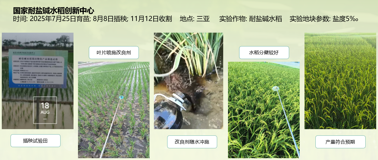 2e57036a-077a-466f-a13a-b20db33b2a8a 2e57036a-077a-466f-a13a-b20db33b2a8a